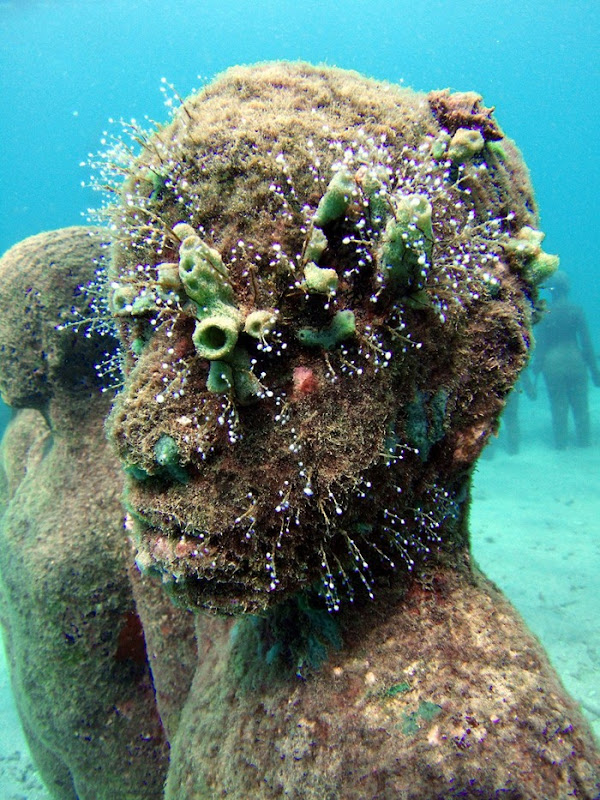 Cancun Underwater Sculpture Museum Amusing